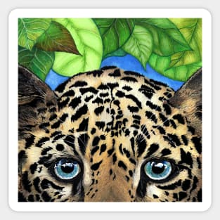 Leopard Up Close Sticker